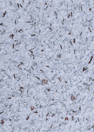 Tapeta bawełniana 12/1