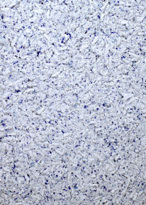 Tapeta bawełniana 10/2